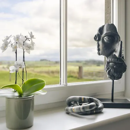 The Hide - Ridgestone