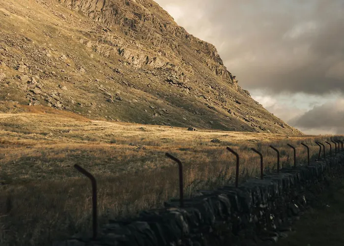 The Hide - Ridgestone *