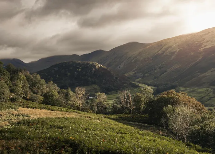 The Hide - Ridgestone