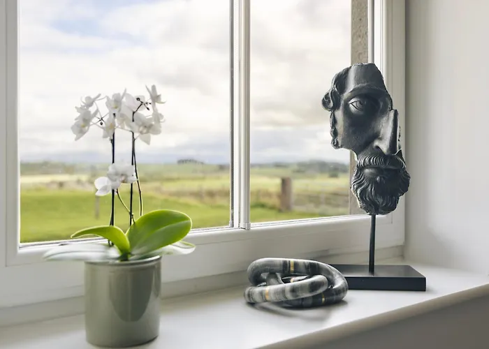 The Hide - Ridgestone